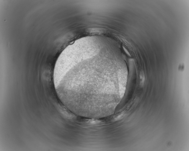 X0000090780379200708172133