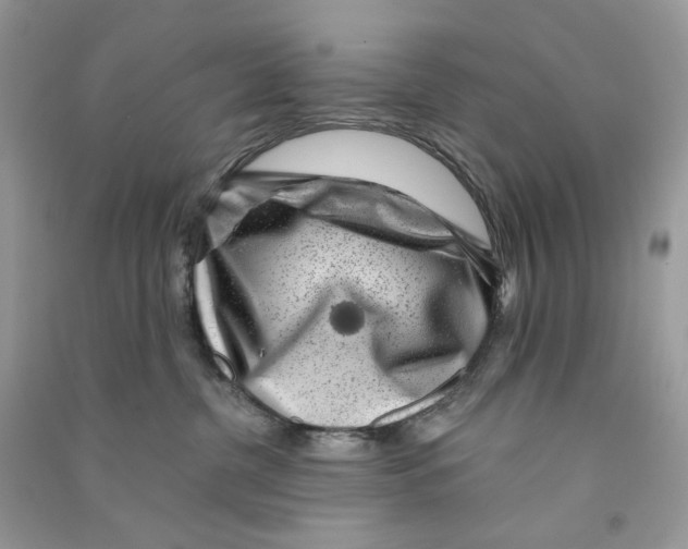 X0000090780380200708172133