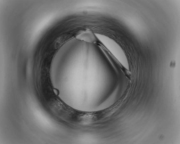 X0000090780383200708172133