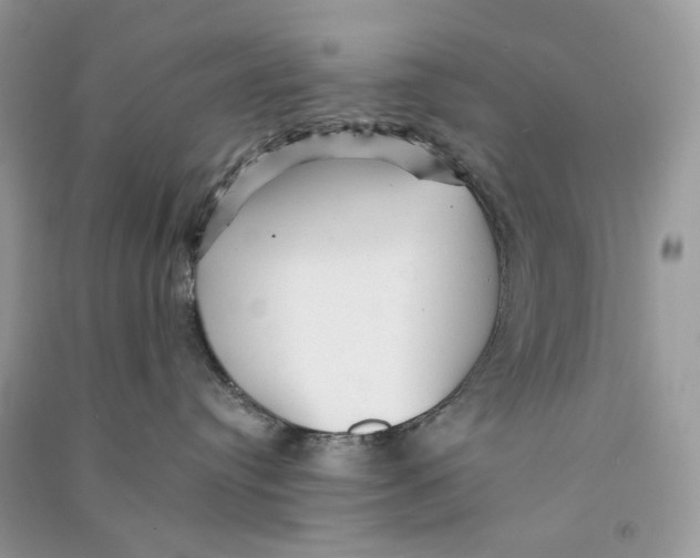 X0000090780384200708172133