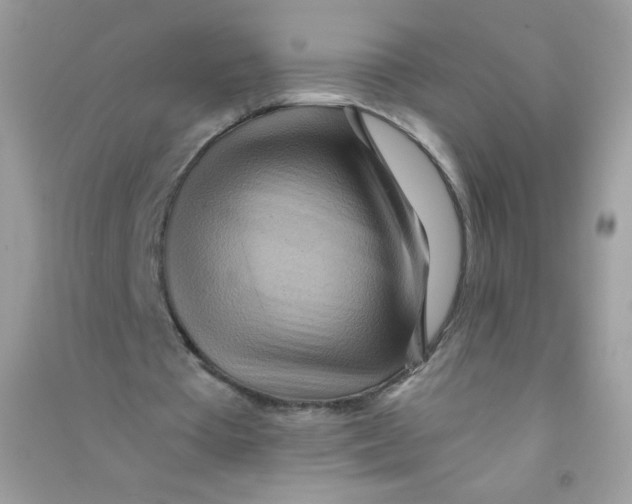 X0000090780385200708172132