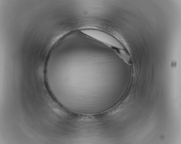 X0000090780386200708172132