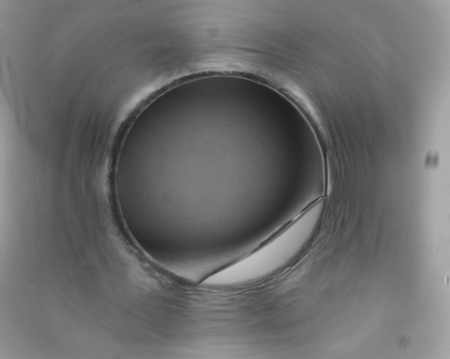X0000090780387200708172132