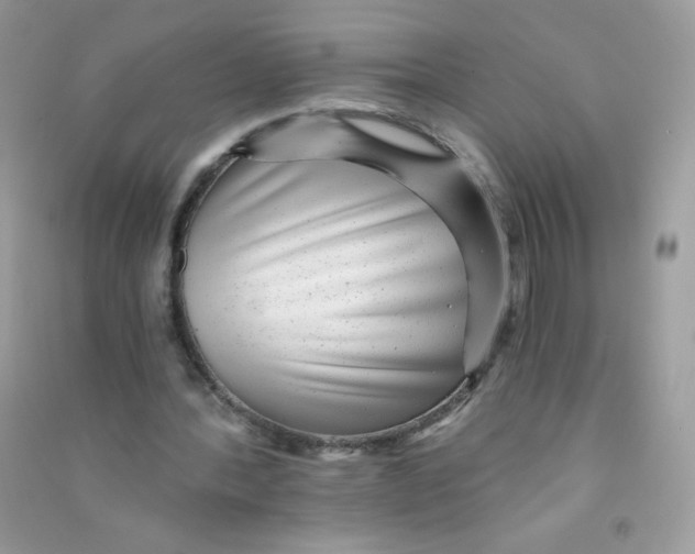 X0000090780388200708172132