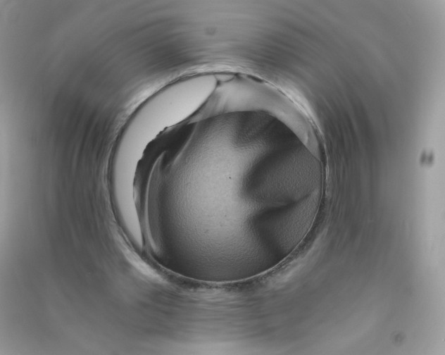 X0000090780389200708172132