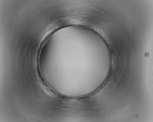 X0000090780390200708172132