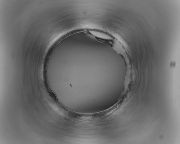 X0000090780391200708172132