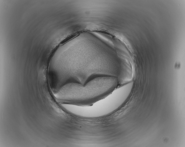 X0000090780393200708172132