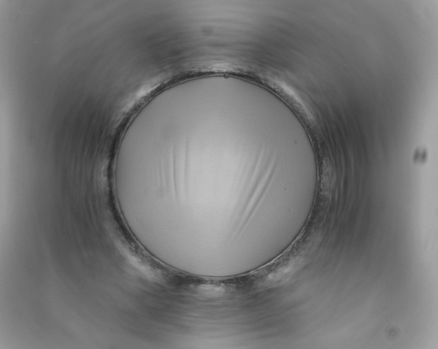X0000090780394200708172132