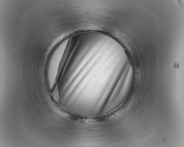 X0000090780395200708172132