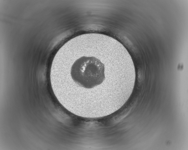 X0000090780396200708172132