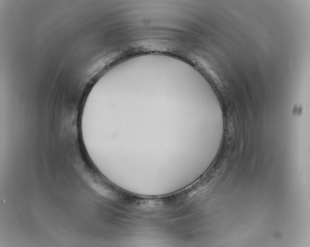X0000090780398200708172132