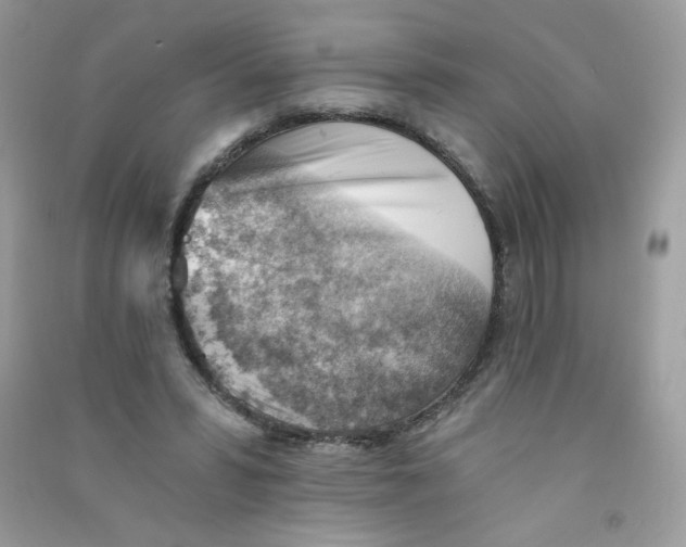 X0000090780399200708172132