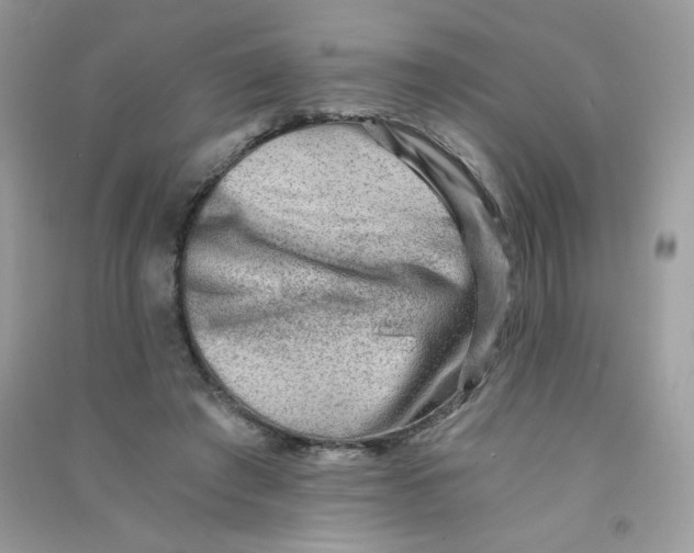 X0000090780401200708172132