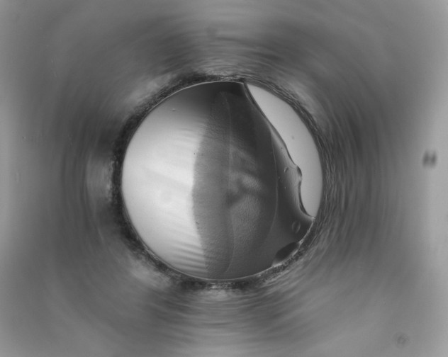 X0000090780404200708172132