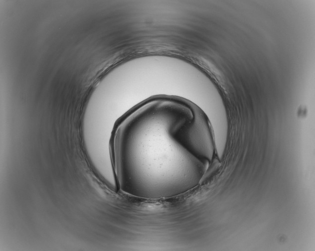 X0000090780405200708172132