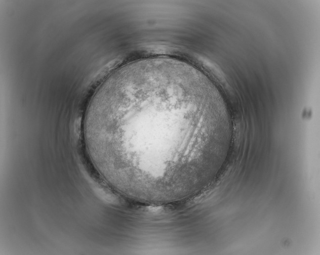 X0000090780406200708172132
