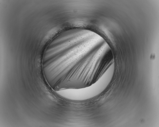 X0000090780407200708172132