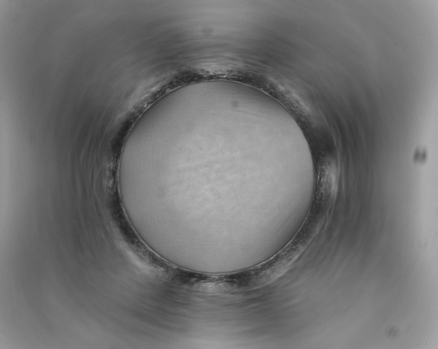 X0000090780408200708172132