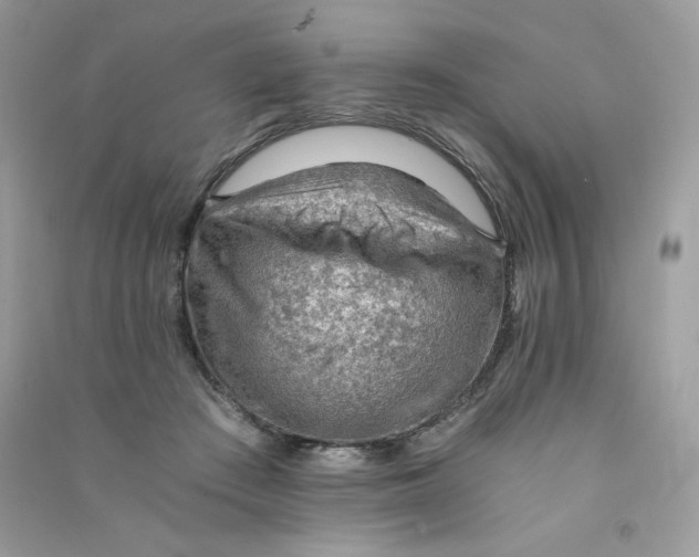 X0000090780409200708172132