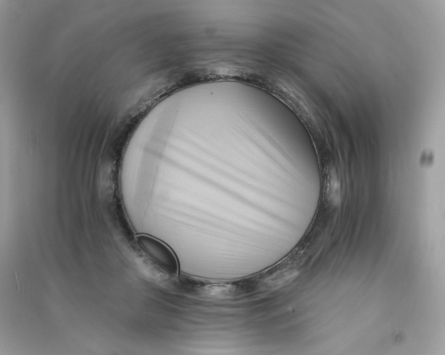 X0000090780410200708172132