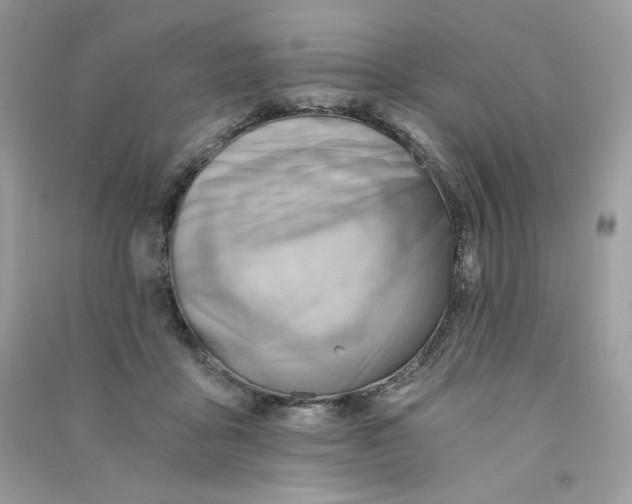 X0000090780411200708172132