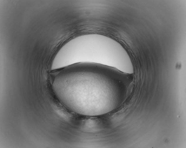 X0000090780412200708172132