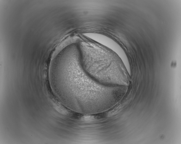 X0000090780413200708172132