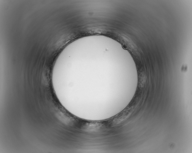 X0000090780414200708172132