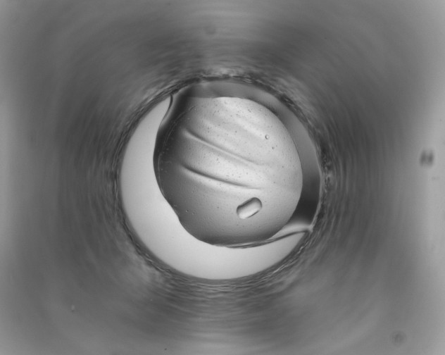X0000090780415200708172132