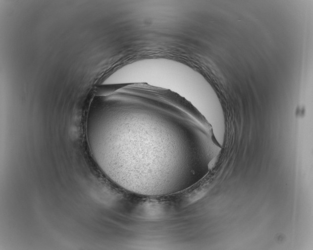 X0000090780416200708172132