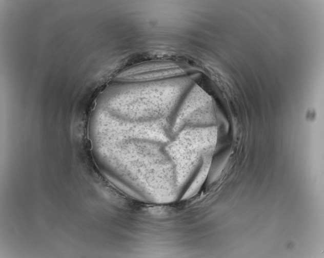 X0000090780417200708172132