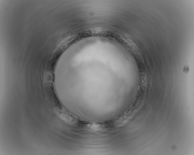 X0000090780419200708172132