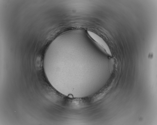 X0000090780420200708172132