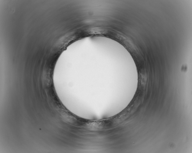 X0000090780422200708172132