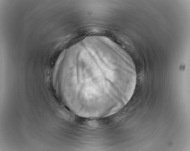 X0000090780423200708172132