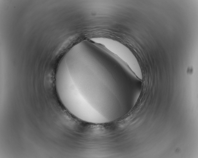 X0000090780424200708172132