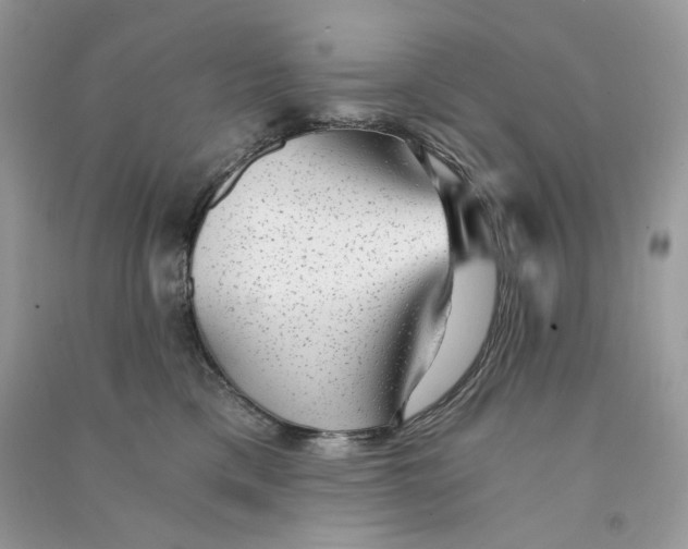 X0000090780425200708172132