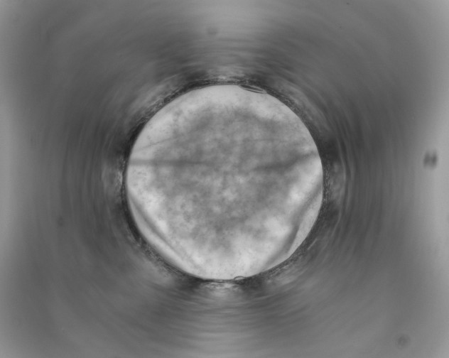 X0000090780427200708172132