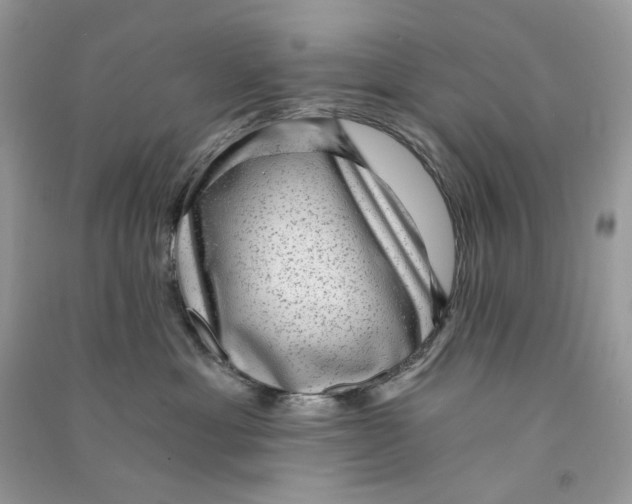 X0000090780429200708172132