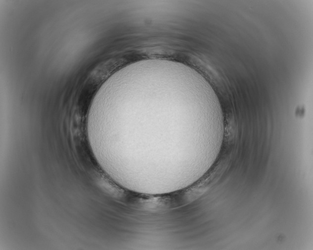 X0000090780430200708172132
