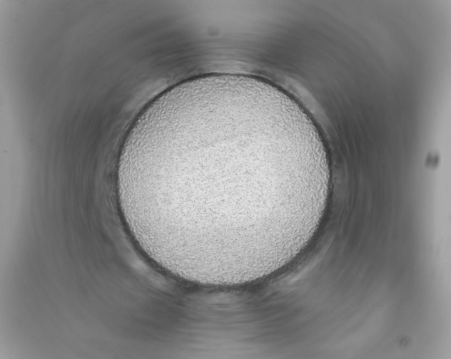 X0000090780433200708172131
