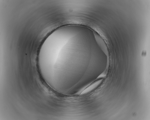 X0000090780434200708172131