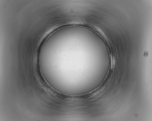 X0000090780435200708172131