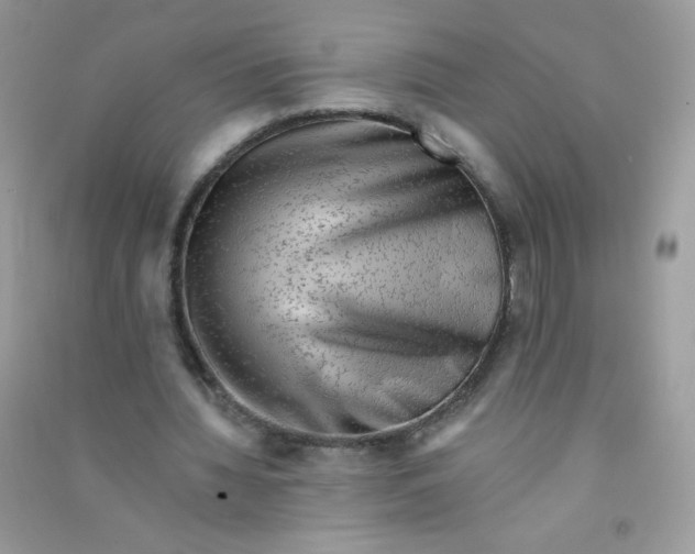 X0000090780436200708172131