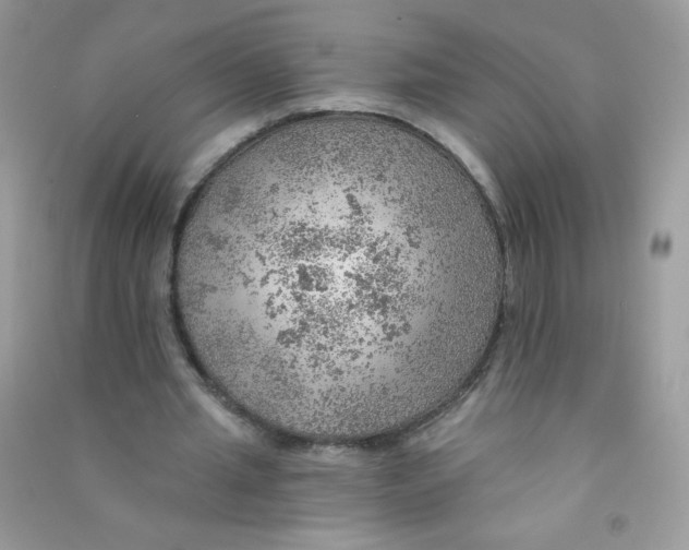 X0000090780437200708172131