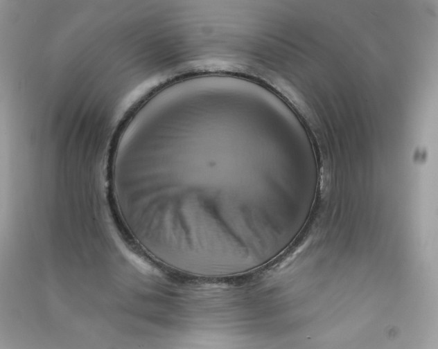 X0000090780438200708172131