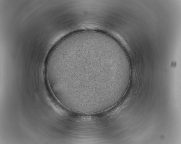 X0000090780439200708172131