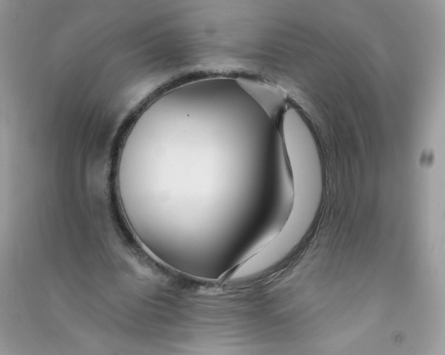 X0000090780440200708172131