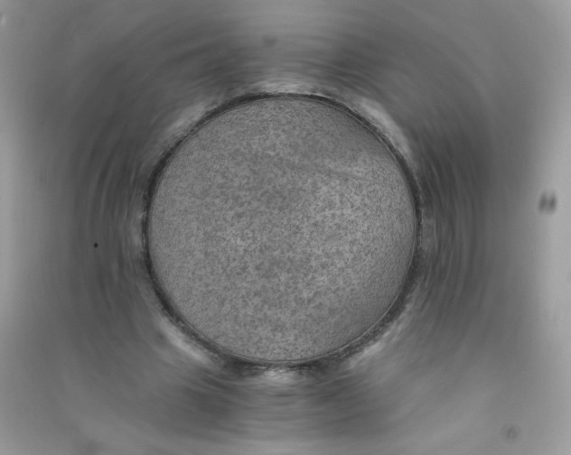 X0000090780441200708172131